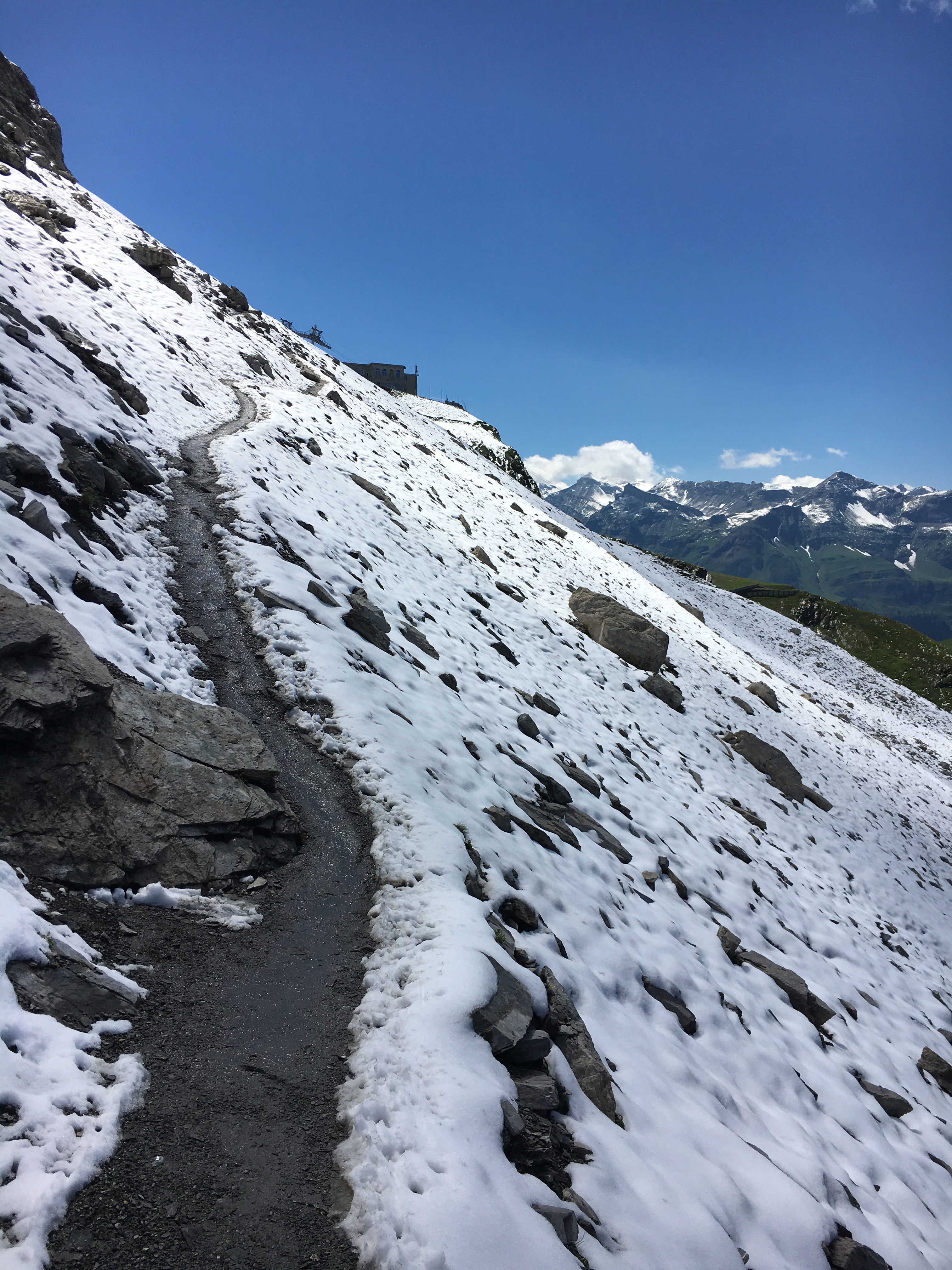 2016-07-16 15.15.53.jpg