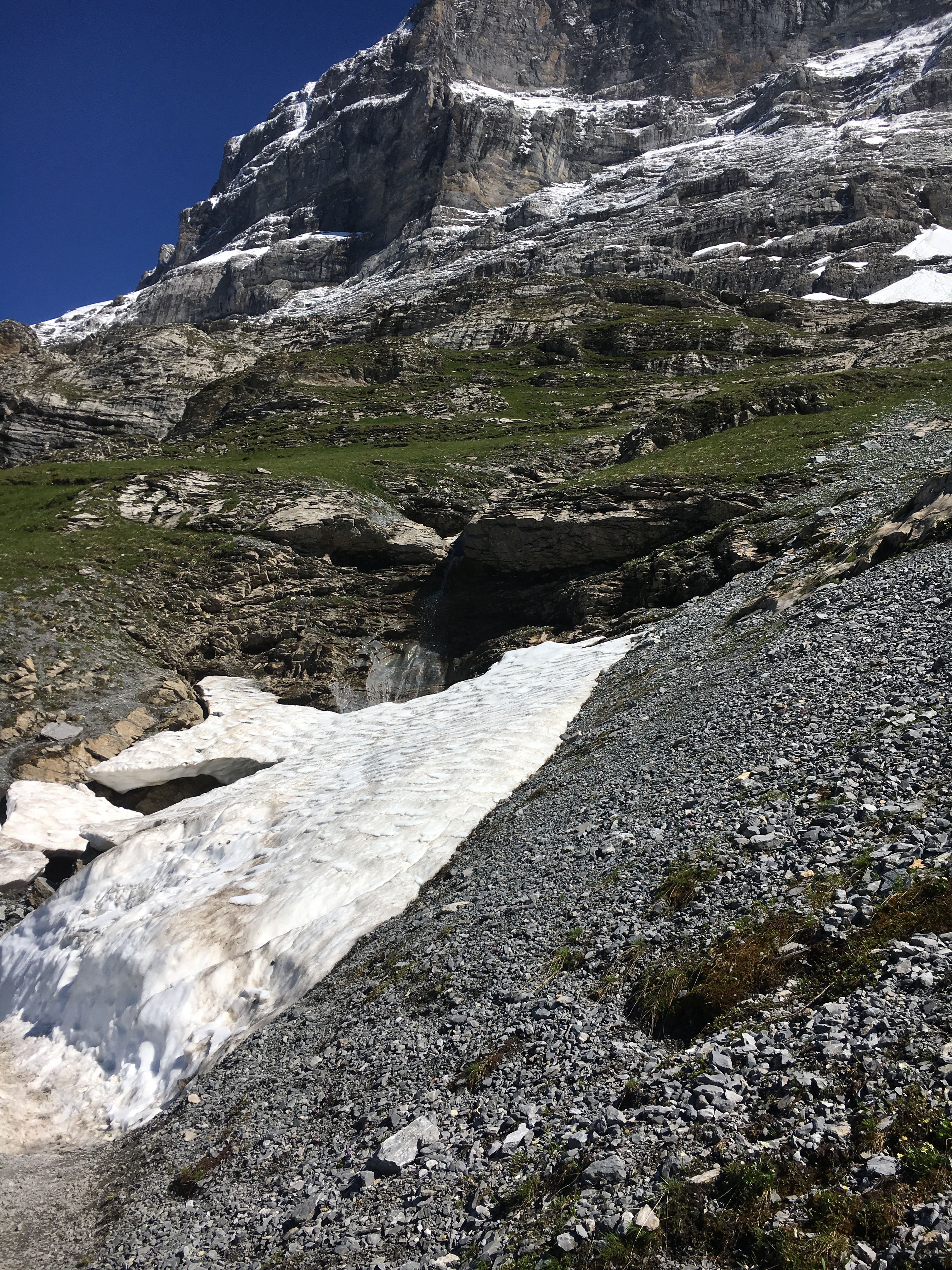 2016-07-16 16.27.36.jpg