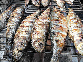 23097-c-g-castellon-sardinada-14-06-29_0