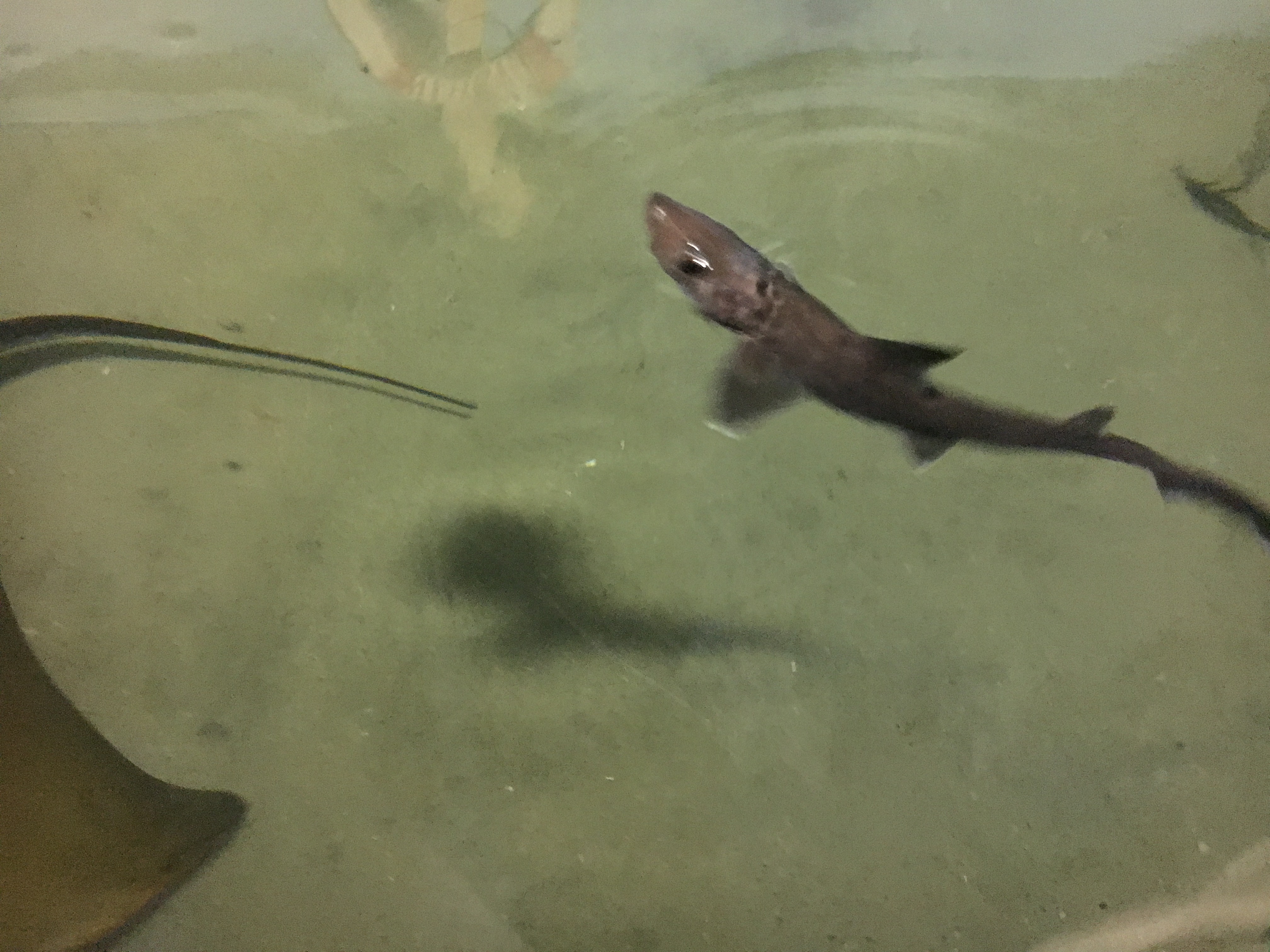 2017-08-18 16.08.02.jpg