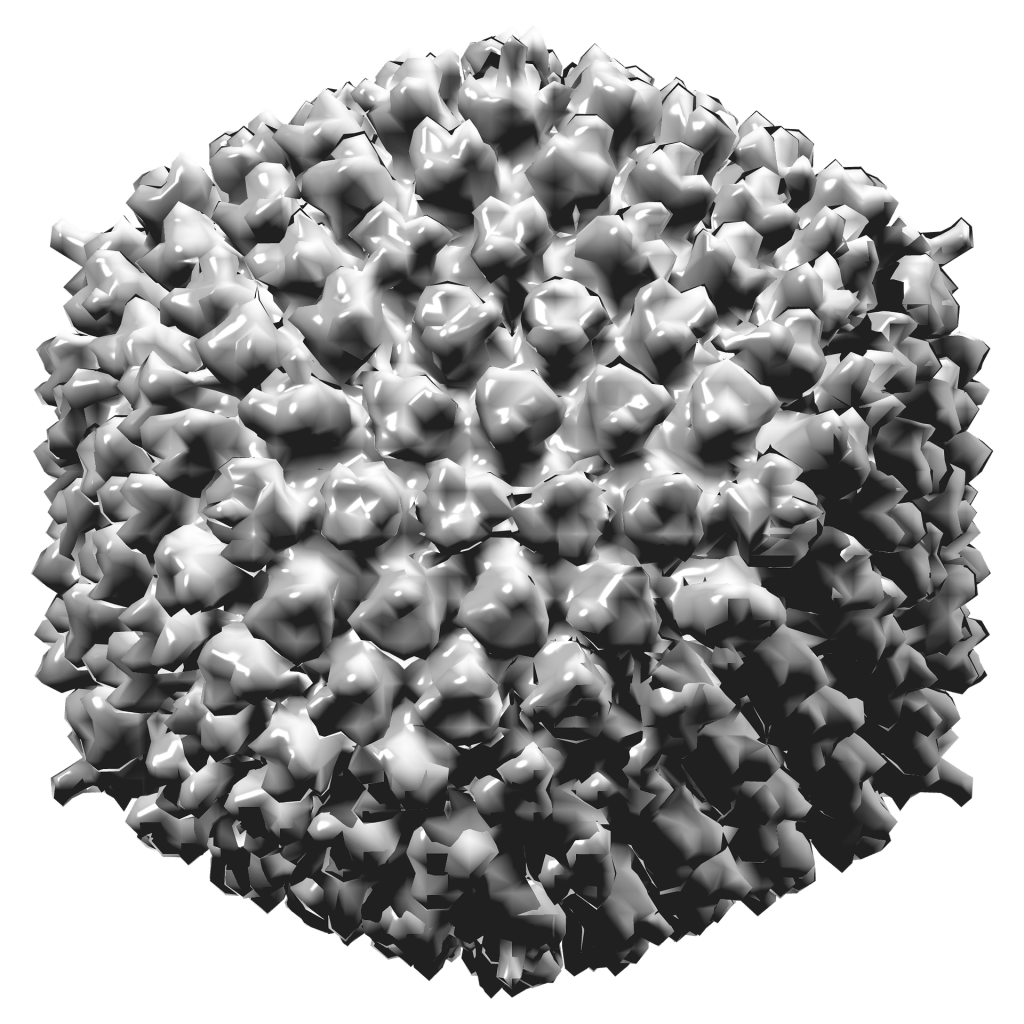 Modelo 3D del adenovirus obtenido por criomicroscopía electrónica