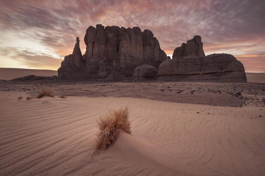 Imagen de un desierto, con rocas y arena y muy poca vegetación, solo una planta de secano.