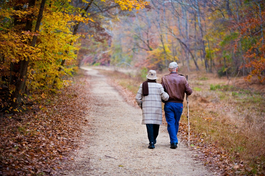 Fotografía de una pareja de ancianos dando un paseo por el campo